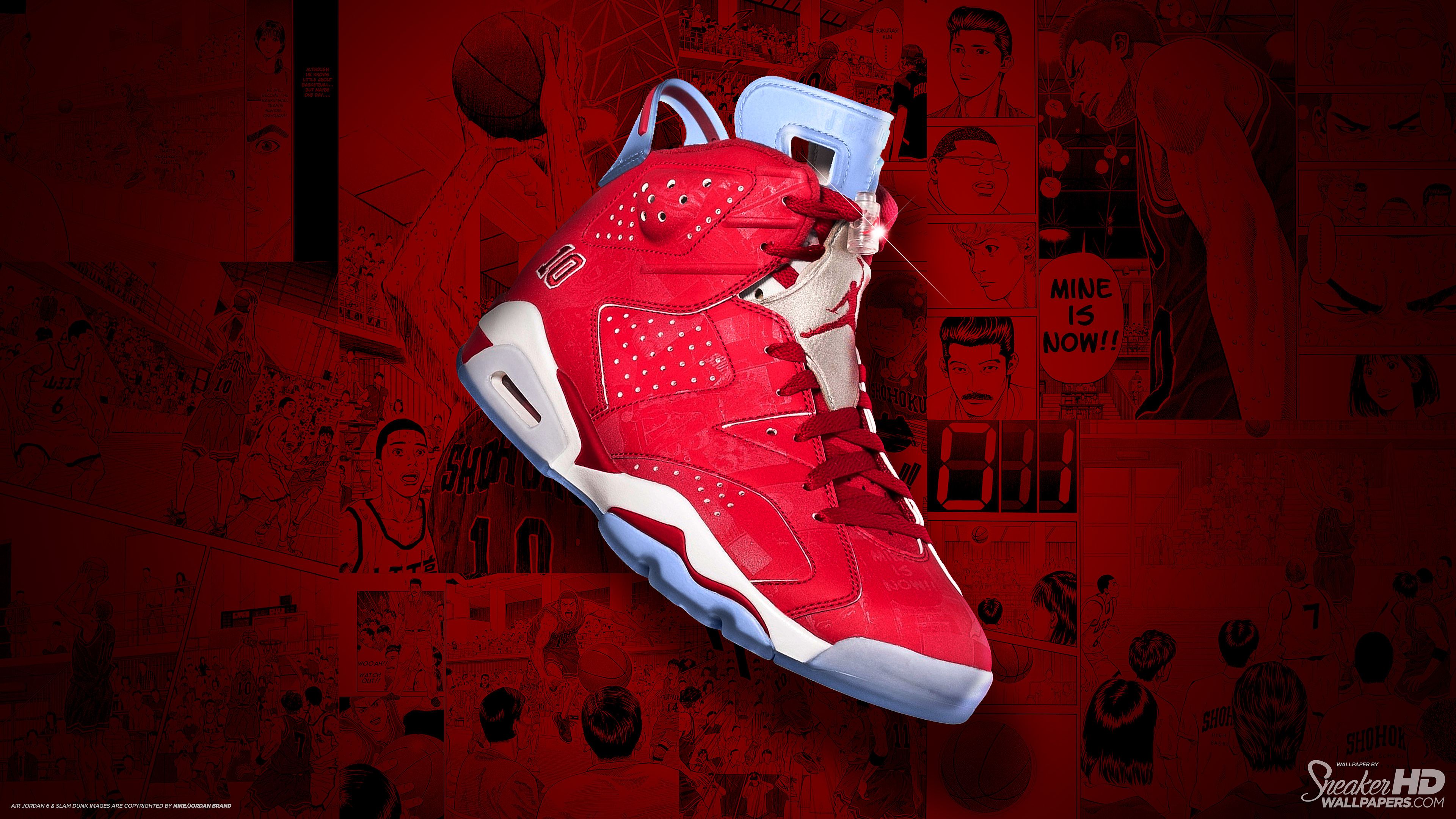 Air Jordan 6 Svart Shohoku